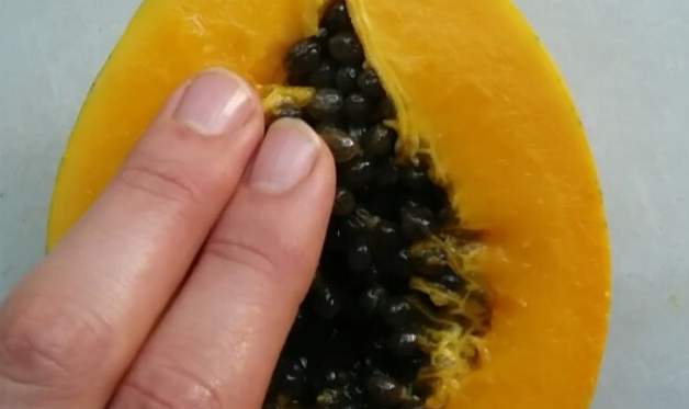 Bizarre Fruit Fingering Instagram