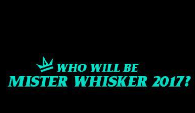 Mr Whisker Contest