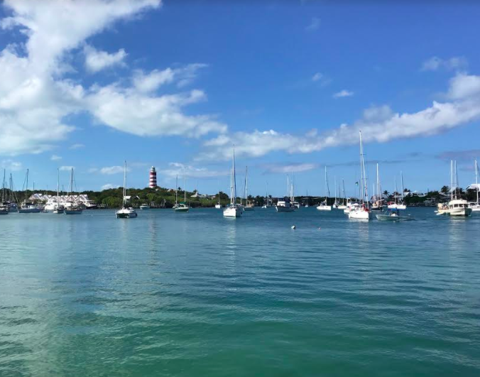 Sailboats in the Marina