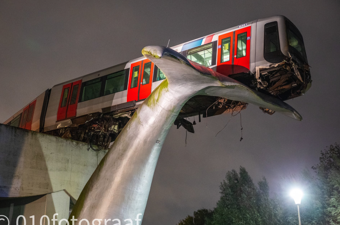 Train On A Whale Tail