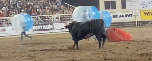 Woman Gored at Rodeo Event