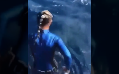 Diver Nearly Eaten By Shark