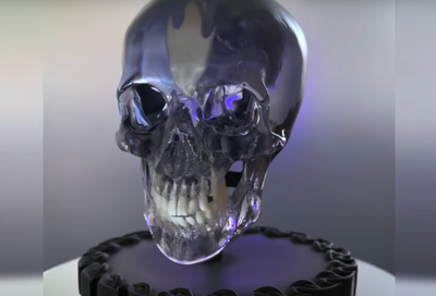 Tool Skull Collectable