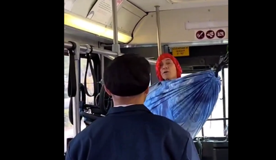 Hammock On A Bus