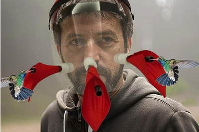 Hummingbird Feeder Helmet