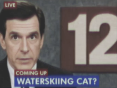 Hilarious Fake TV Report