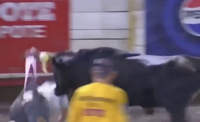 Attacked By Bull