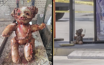 The Skin Bear
