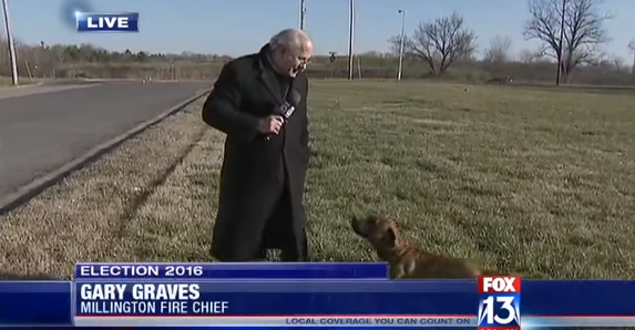 Dog Humps Reporter