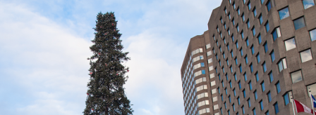 Montreal Christmas Tree