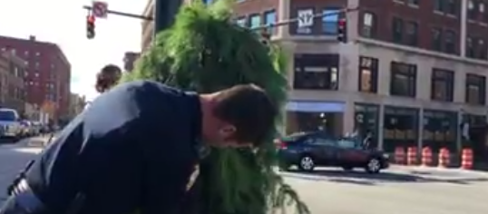 Tree Arrested