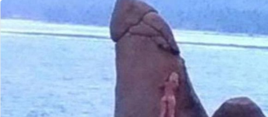 Woman Rubs Penis Rock